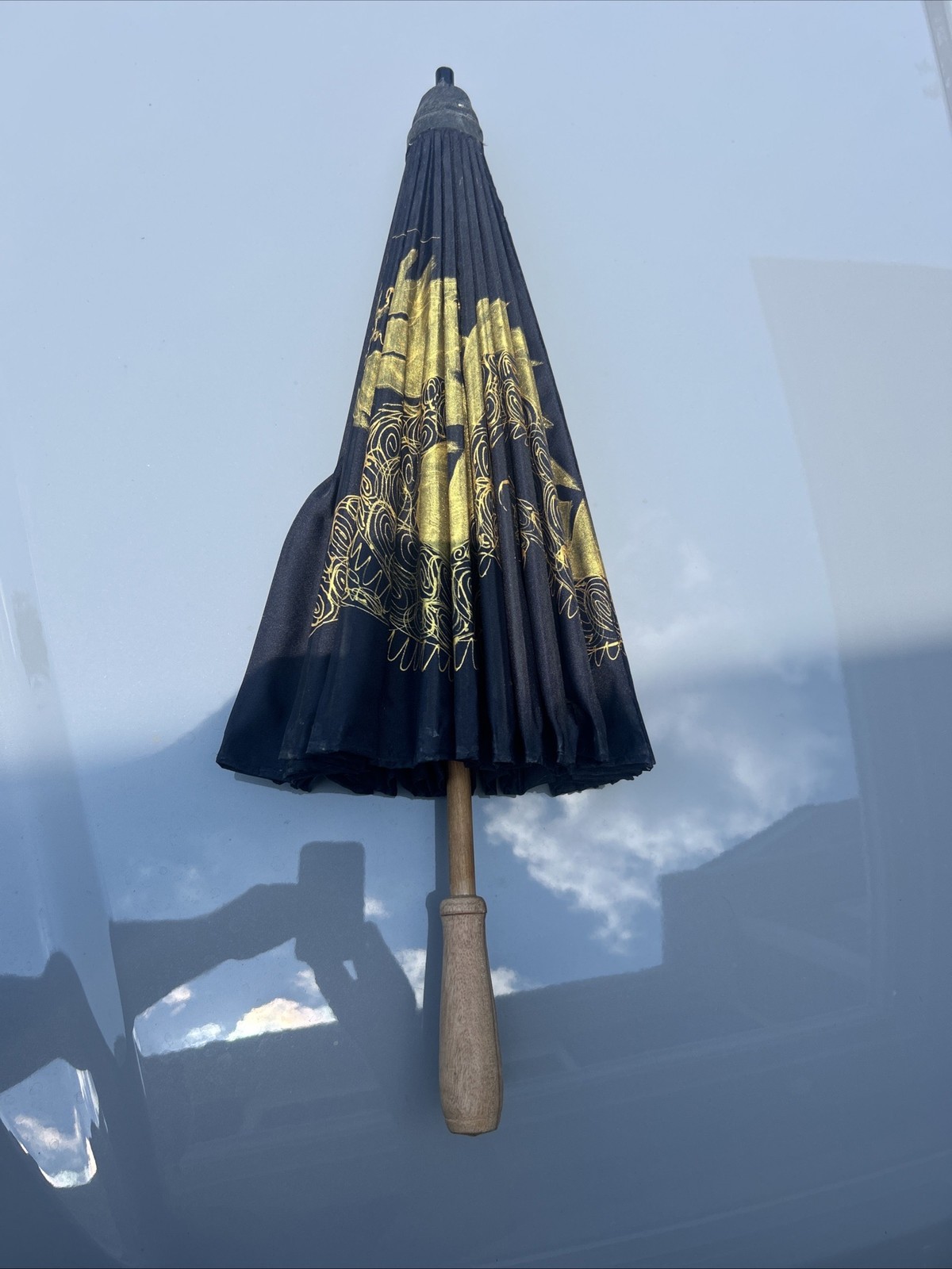 Vintage Parasol Hand Painted Chinese Umbrella(small Repair Done) See Pics