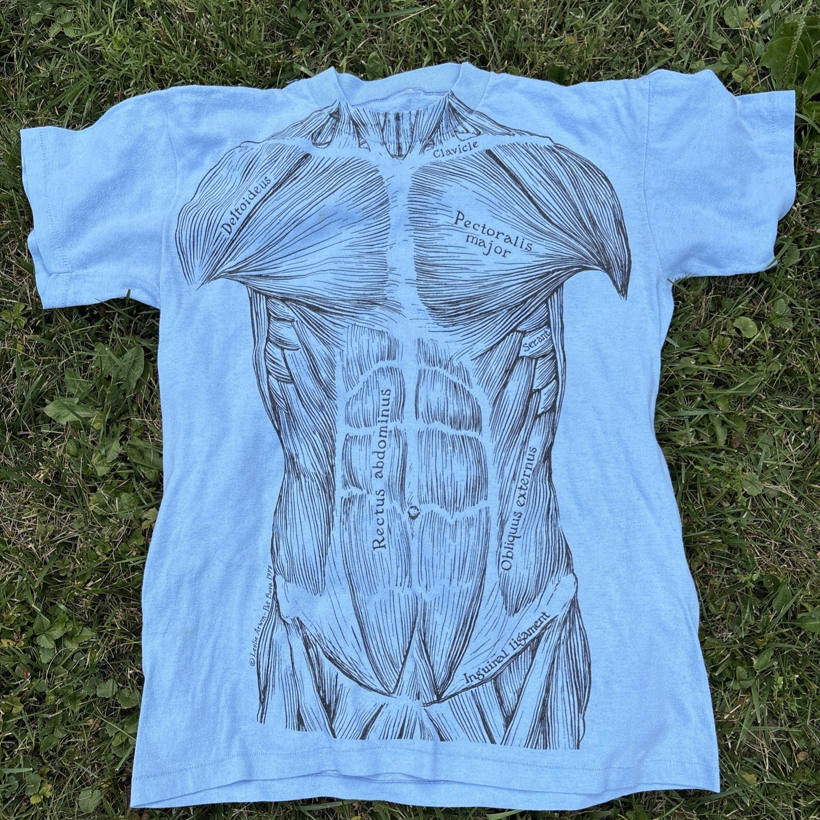 Vintage Anatomy Muscle T Shirt M Leslie Arwin Pat Bova 80s USA Single Stitch