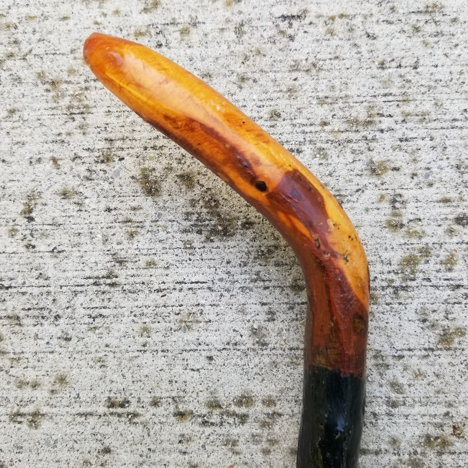 Vintage Irish Black Thorn cane walking stick Shillelagh old 34.5″ ESTATE SALE