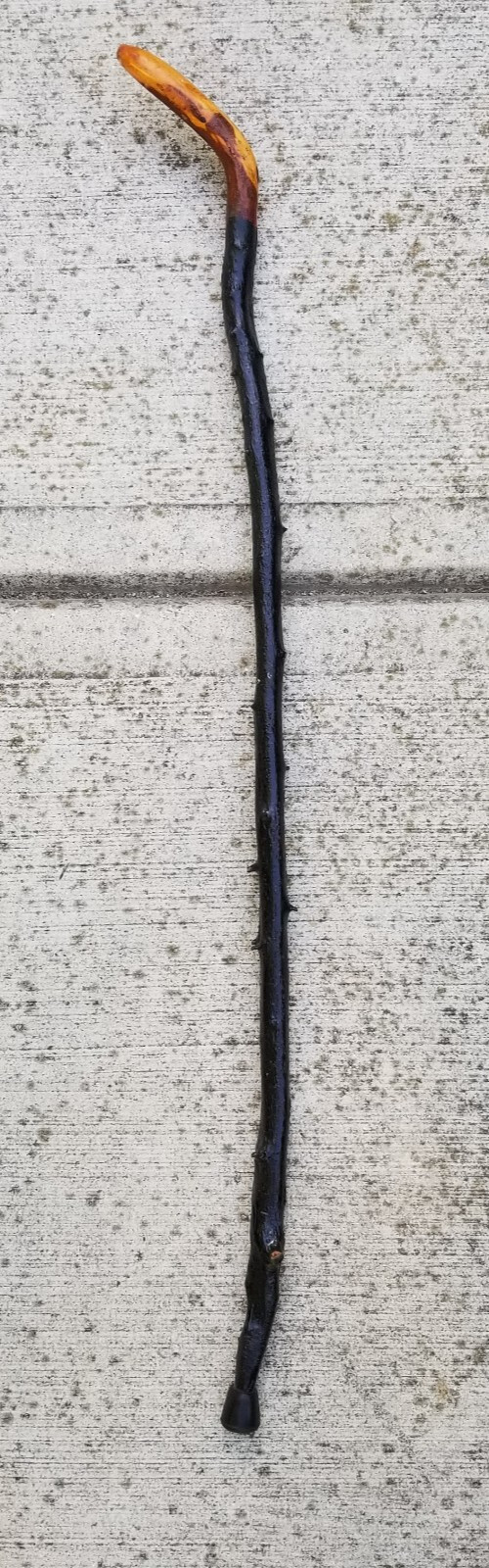 Vintage Irish Black Thorn cane walking stick Shillelagh old 34.5″ ESTATE SALE