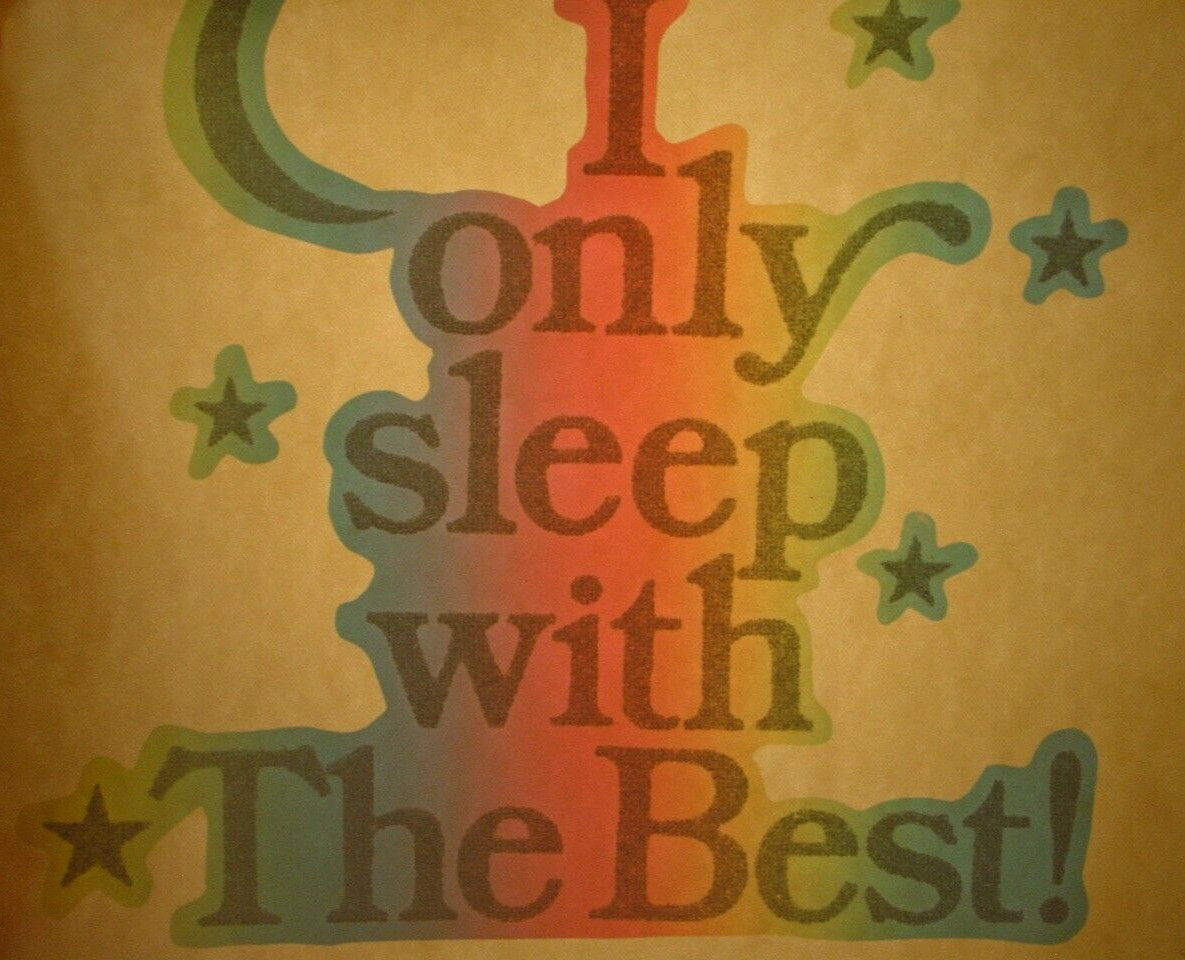 I ONLY SLEEP WITH THE BEST! 1970’s VINTAGE FUNNY IRON ON TRANSFER NICE B-17