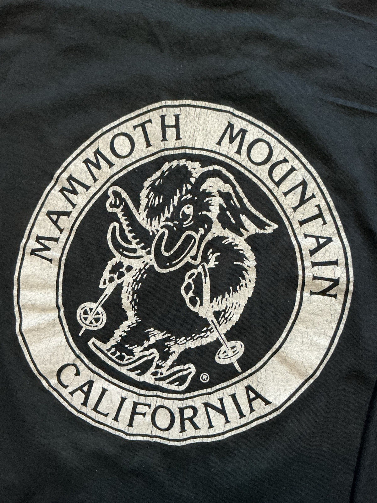 Vintage 90s Anvil Mammoth Mountain California Souvenir Single Stitch L/S T-Shirt