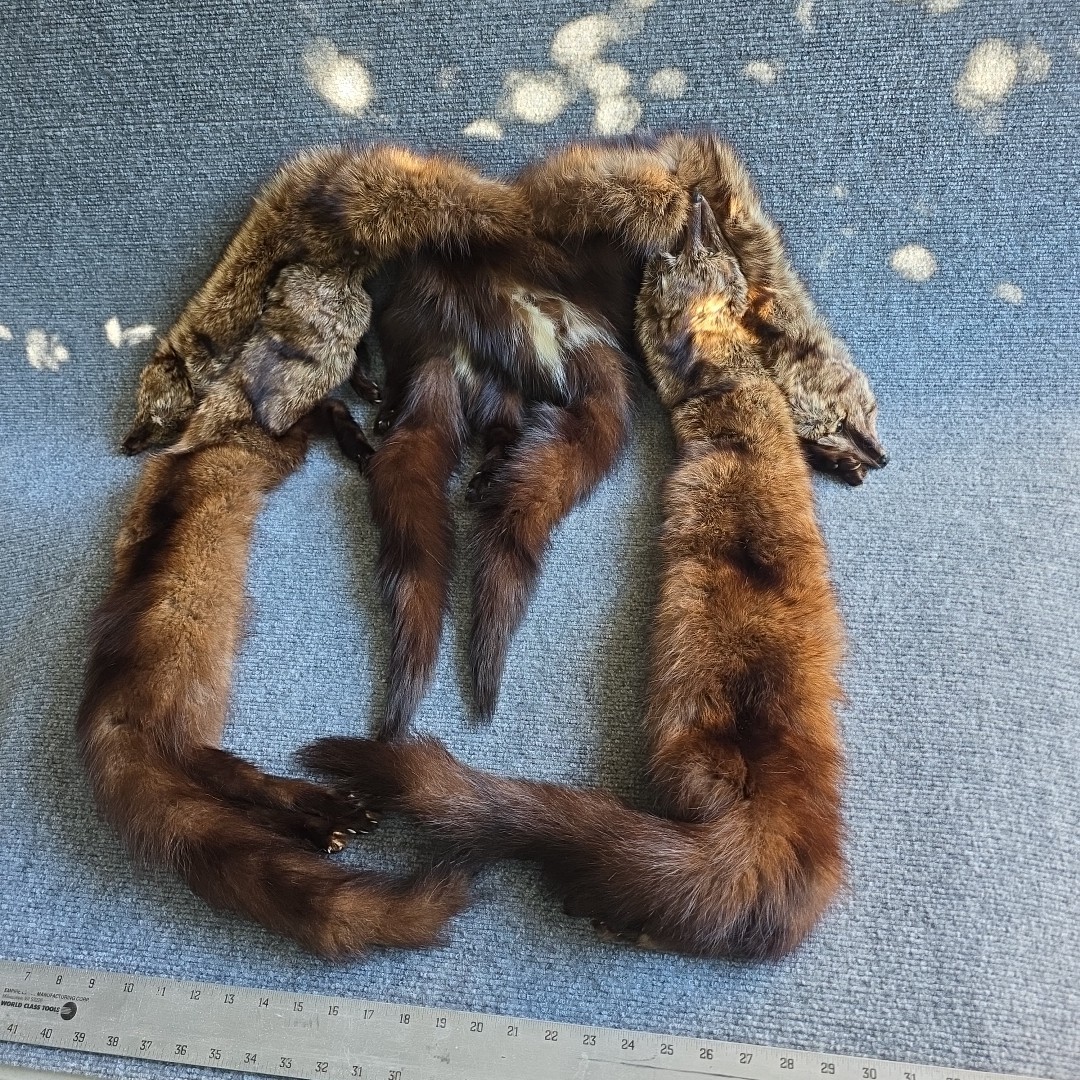 Vintage Brown Fox Fur Stole Wrap 4 Full Pelts w/ Heads Tails Paws Classic 1950s