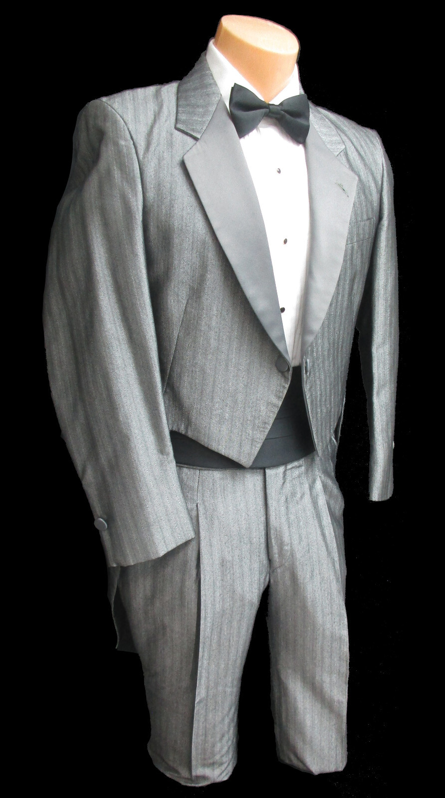 Boys Retro Vintage Raffinati Silver Grey Tuxedo Tailcoat with Pants Size 4