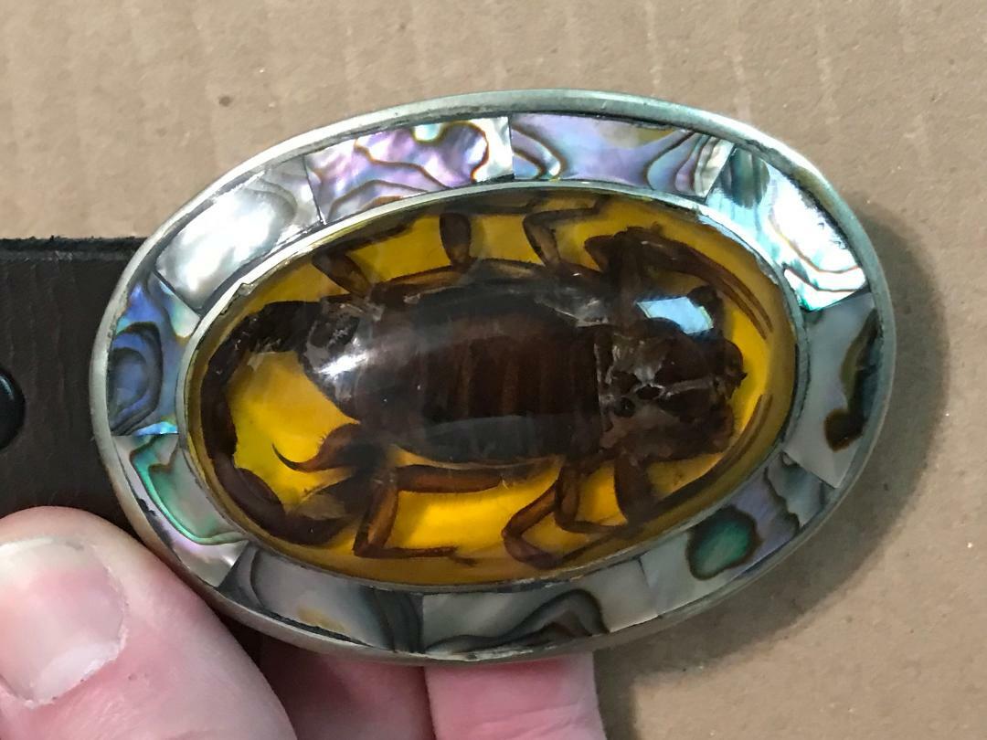 CRAFTMASTERS Of Nantucket Scorpion Belt