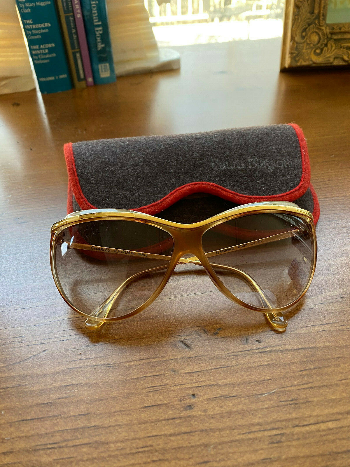 Charles Jourdan Vintage Sunglasses (Laura Biagiotti Case)