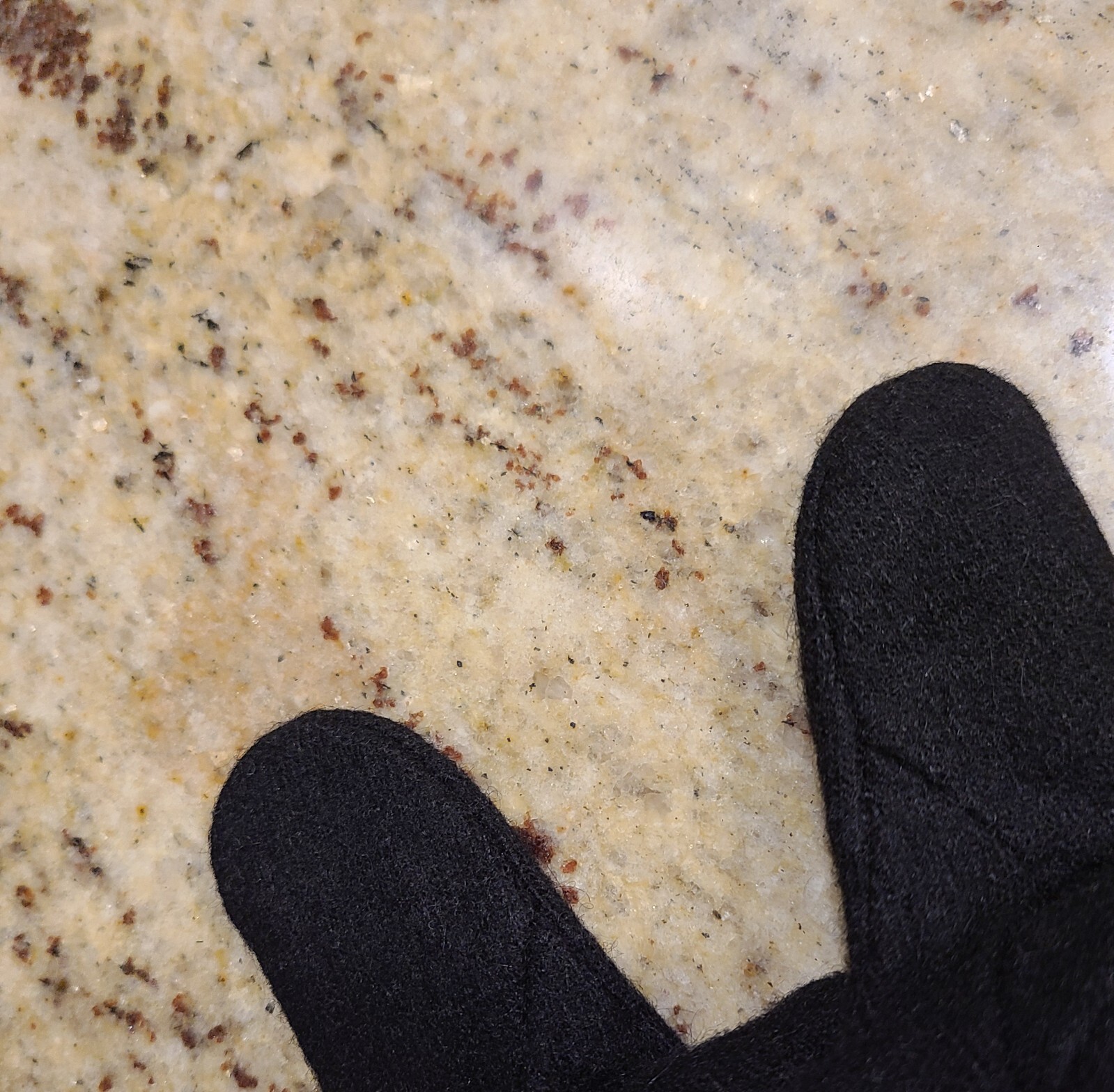 New! Size L XL Black Wool Tight Knit Leather Wrist Velvet Lined 9.5″ Gloves