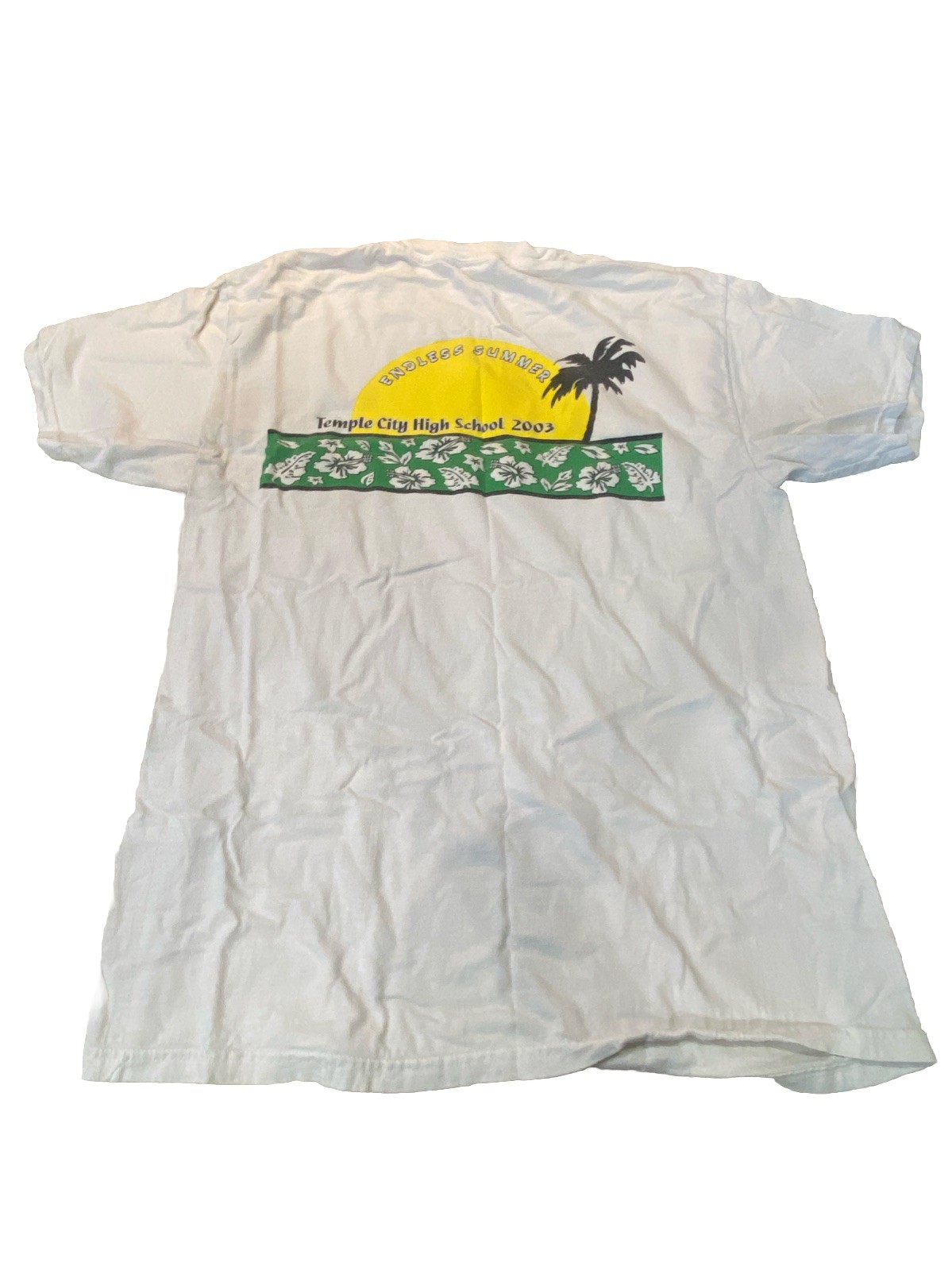 Vintage Hanes TCHS Endless Summer Class Of 2003 T Shirt Gray Sz L