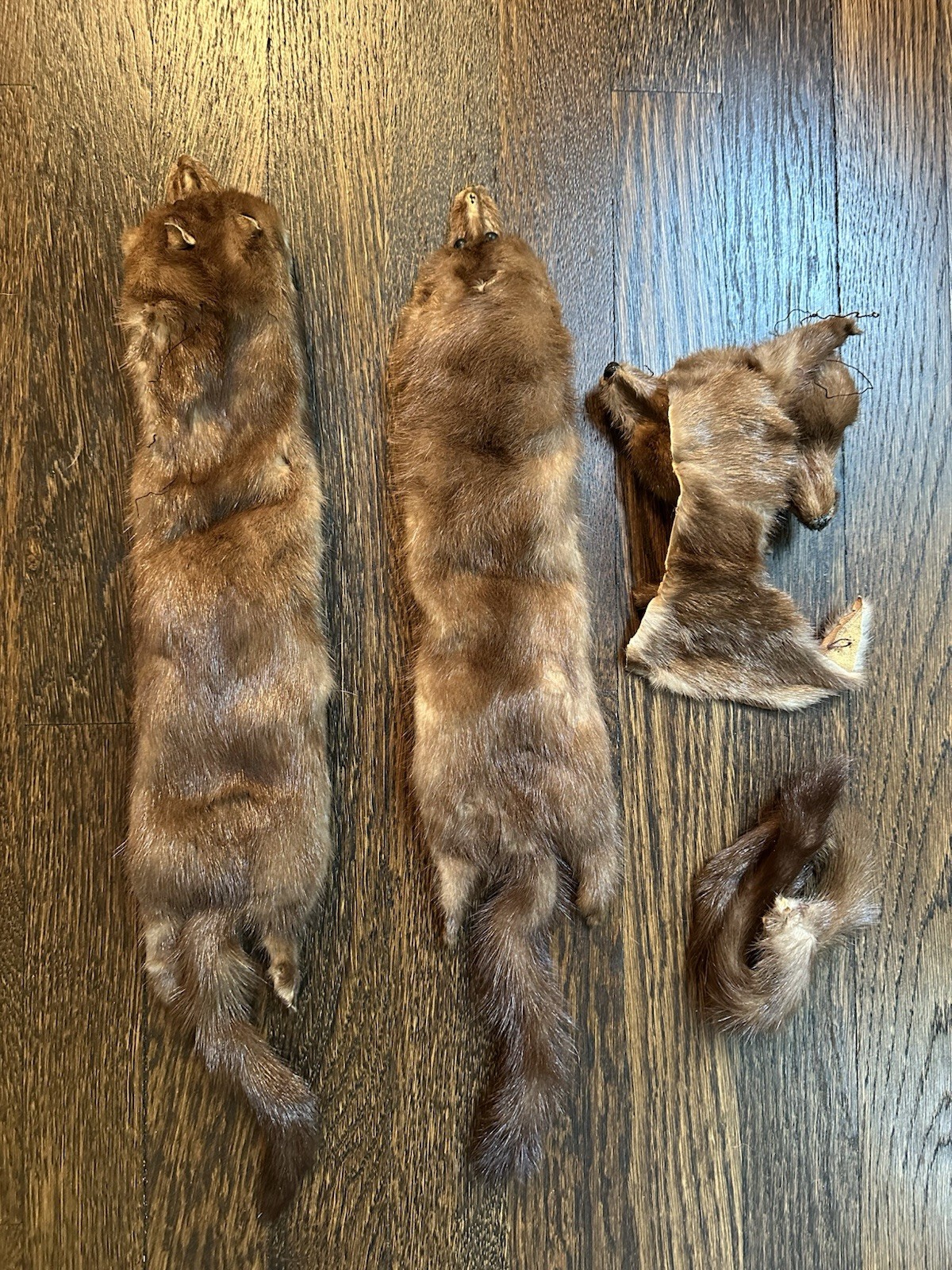 Vintage Red Fox Stole 1930 1940 Four Pieces Repair Project Clasp Included