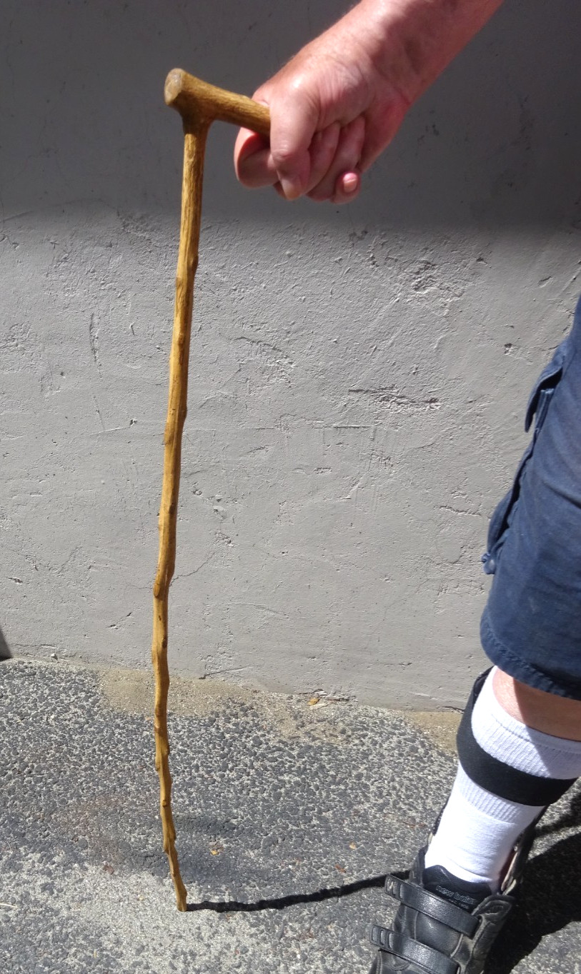 VINTAGE 36″ CROOKED CANE NATURAL PRIMITIVE OLD ROSEWOOD RUSTIC BENT LIMB NO TIP