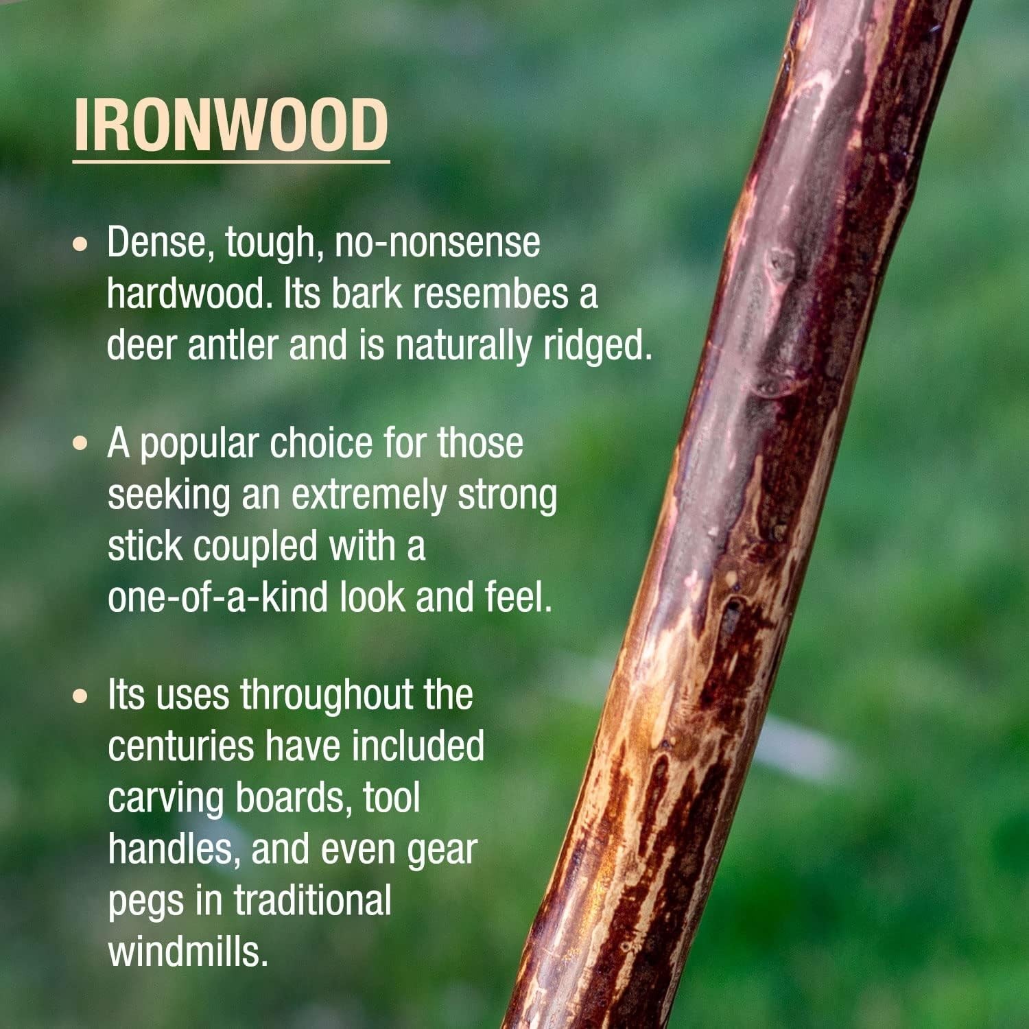 Rustic Wood Walking Cane, Hardwood, Knob Root Style Handle, for Men & Women, …