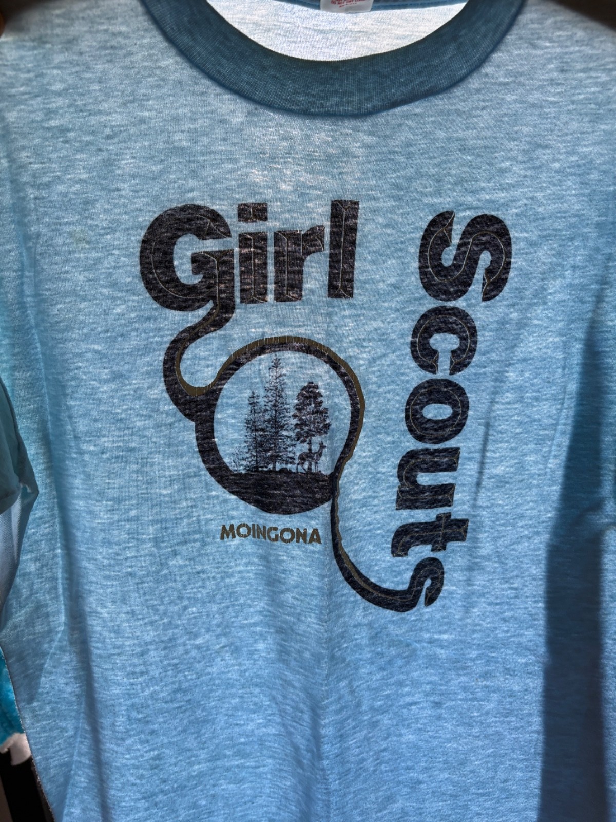 Vintage 80s Girl Scouts Baby Blue Paper Thin Thrasher tee M nature Camp Cottage