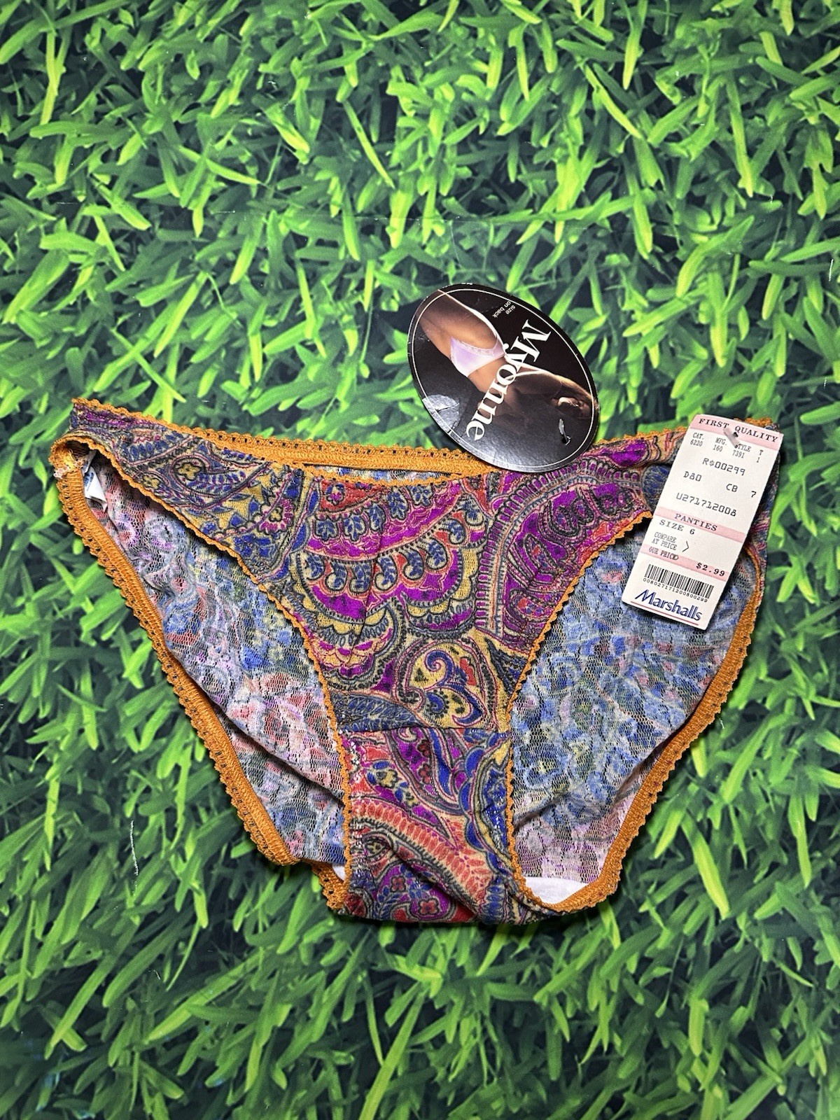 NWT Vintage 90s Myonne Panties USA Made Paisley Mesh Sheer Brief Size 6 NOS