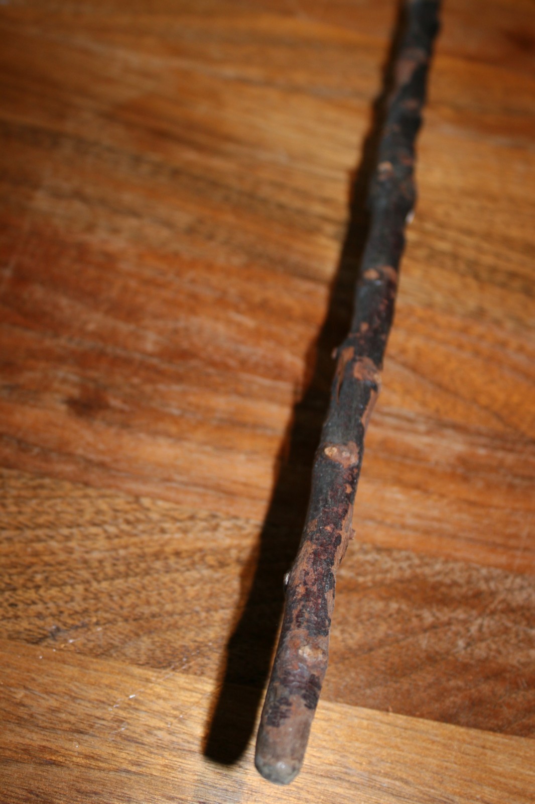 Vintage Irish Blackthorn Thorny Thin Shillelagh Walking Stick Cane 35″