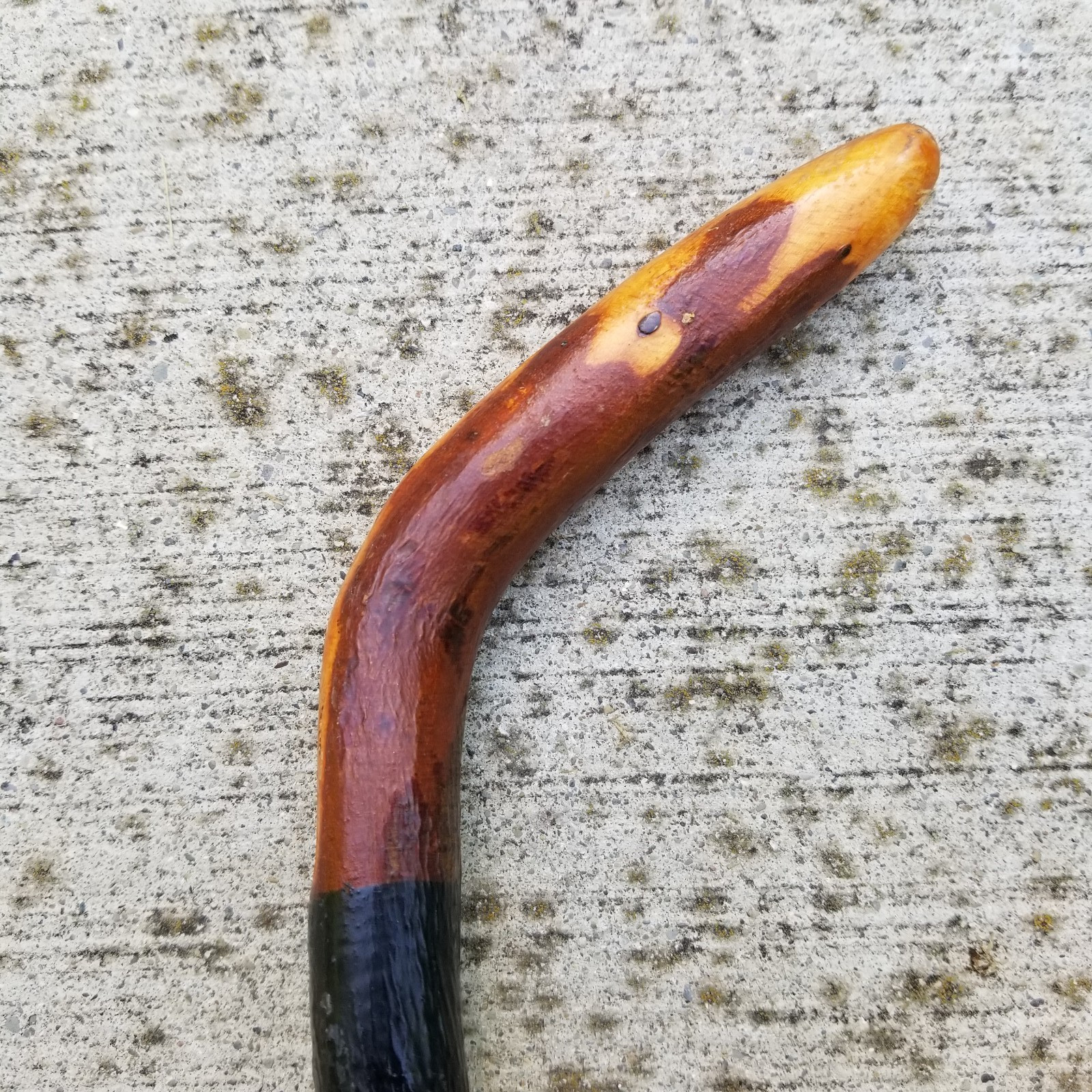 Vintage Irish Black Thorn cane walking stick Shillelagh old 34.5″ ESTATE SALE