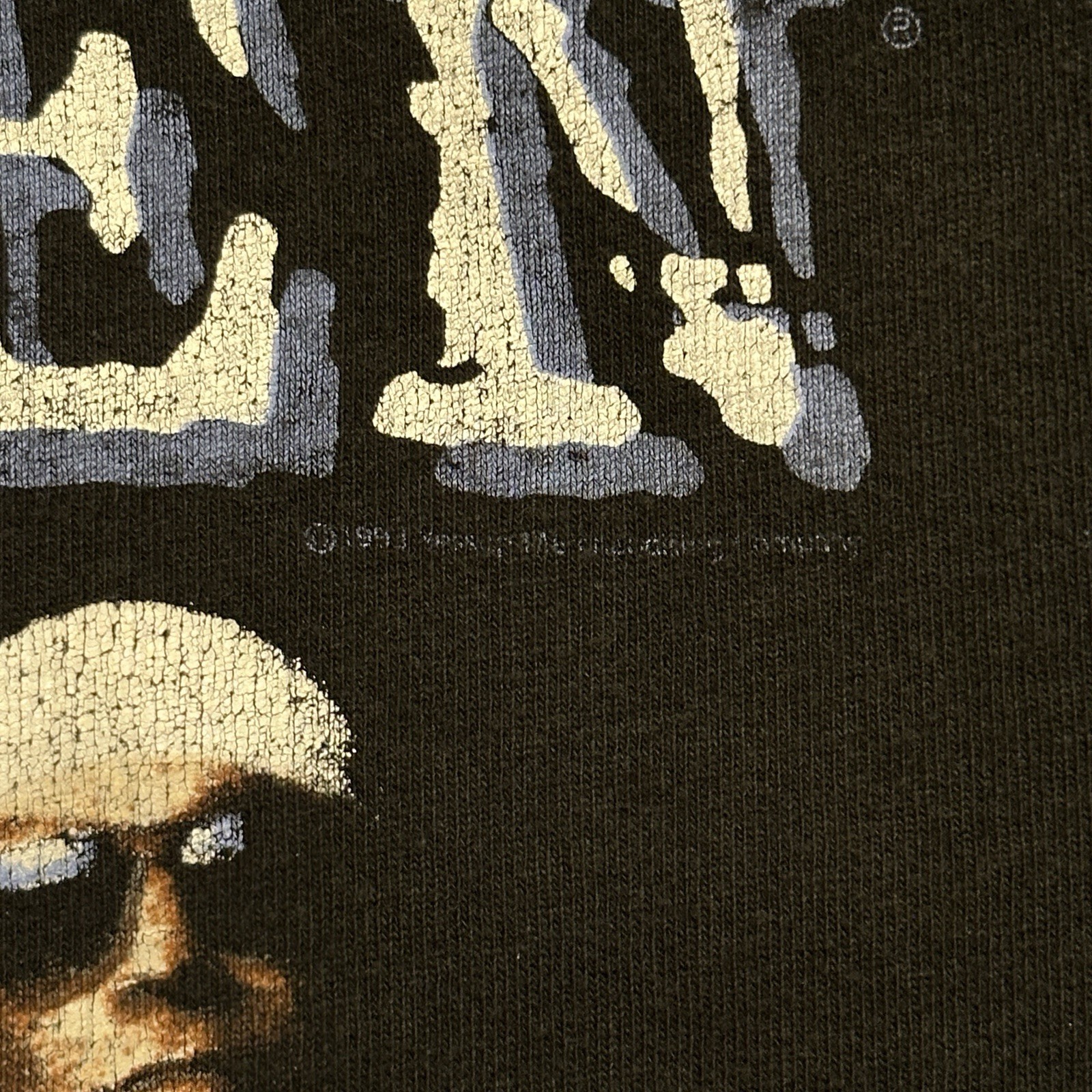 Vintage Van Halen Live: 1993 World Tour Single Stitch T-shirt