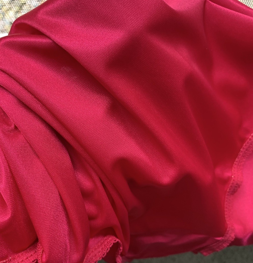 Vintage Vanity Fair Panties Size 10 / 50 100% SHEER Nylon Raspberry Pink 15-812