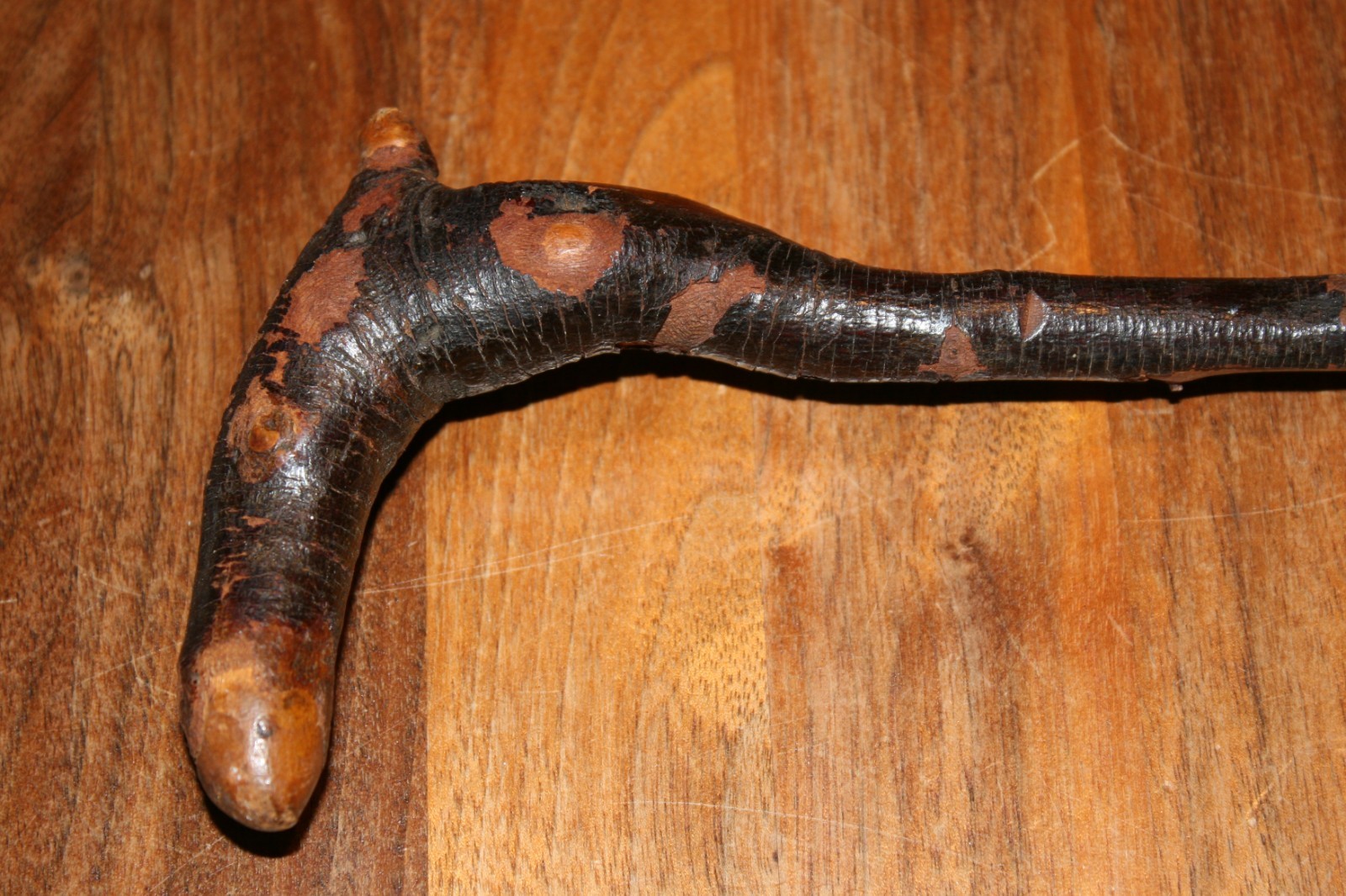 Vintage Irish Blackthorn Thorny Thin Shillelagh Walking Stick Cane 35″
