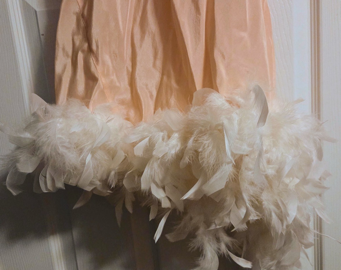 Glamorous Old Hollywood 1950s Sheer Gown With Real Feather Trim And Down Shawl