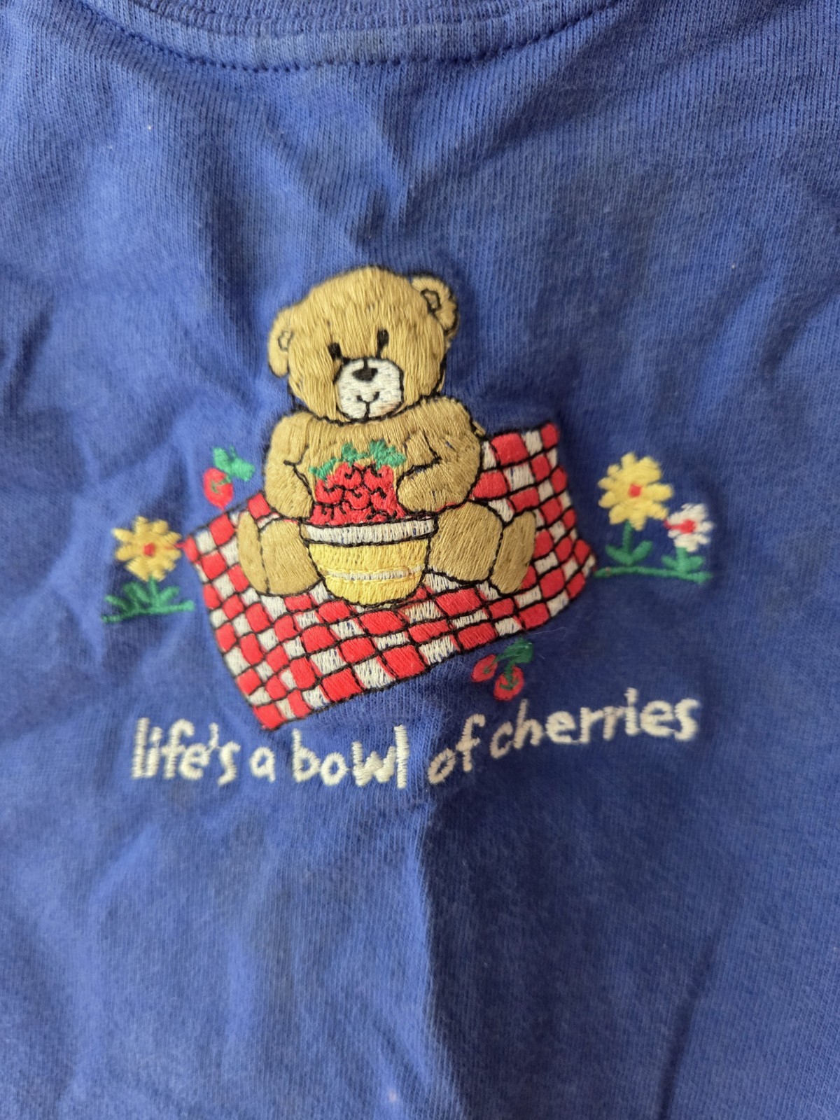 Vintage 90s Carters 3T, Embroidered Teddy Bear Picnic Tee, Cottagecore Kids