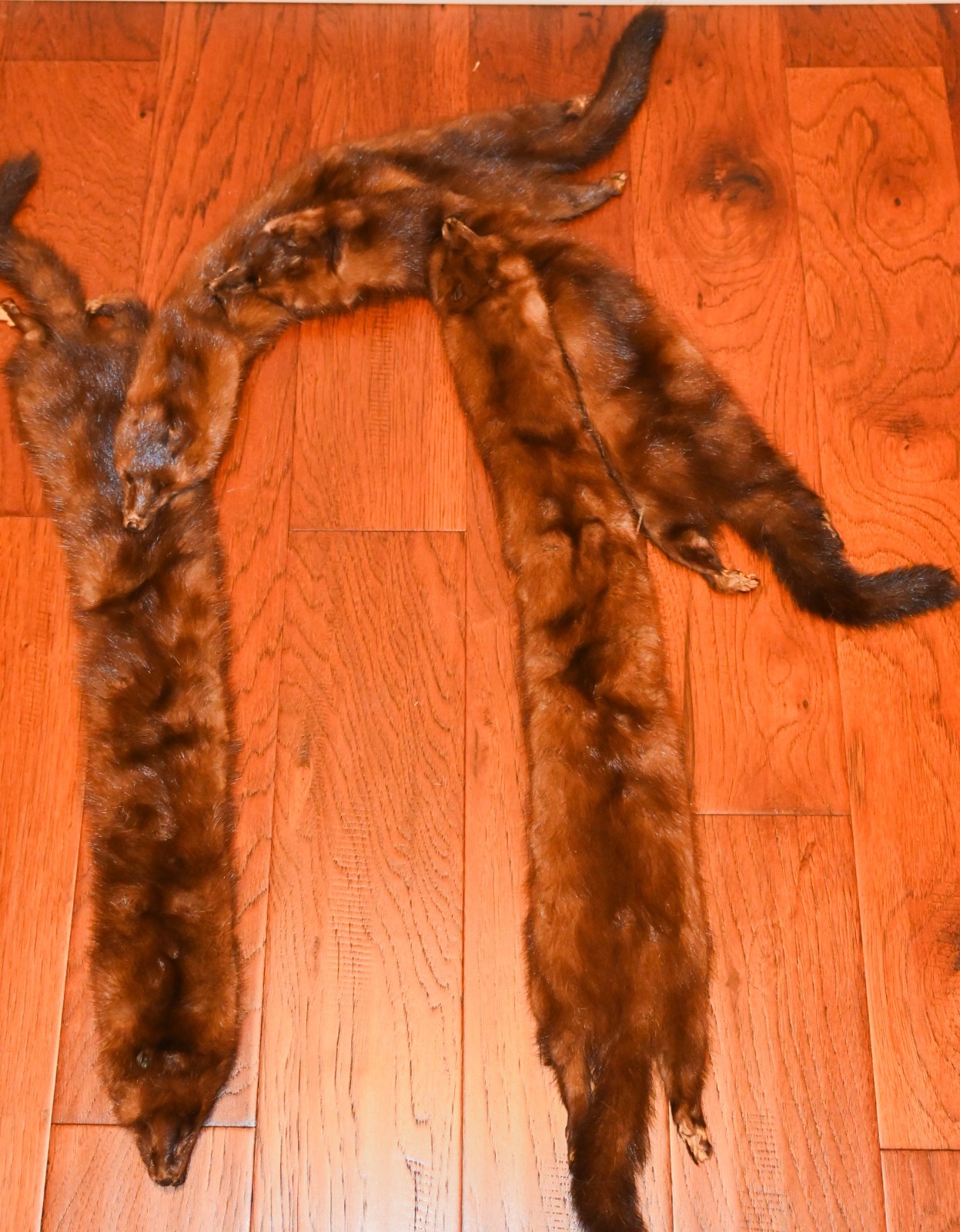 Vintage 1930s–40s Genuine Mink 4 Whole Pelts Fur Stole Heads Tails Feet Claws