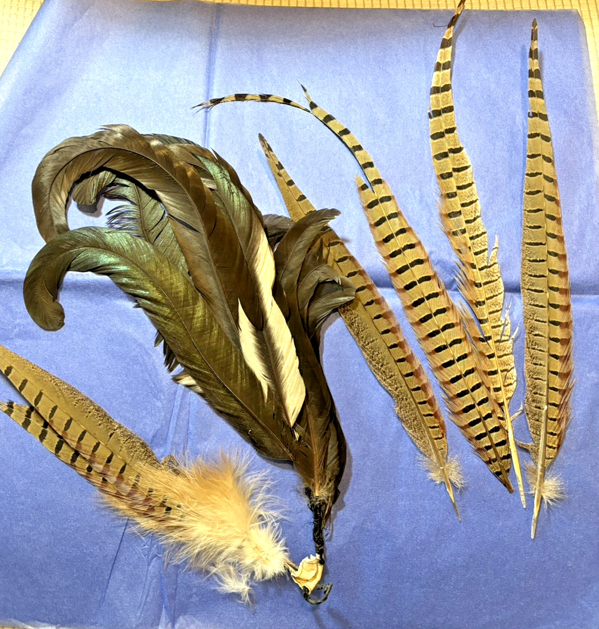 VTG 1920-40S PLUME, IRREDESCENT GREEN/BLACK, FIVE LONG PHEASANT FEATHERS-HATS