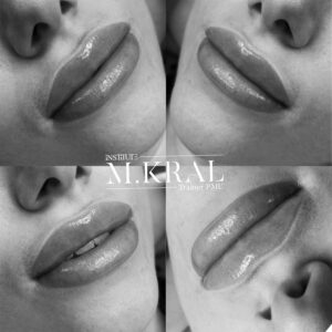 Lips PMU Course VIP 1:1